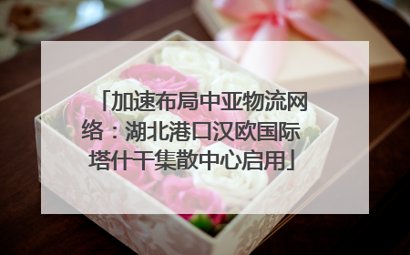 加速布局中亚物流网络：湖北港口汉欧国际塔什干集散中心启用