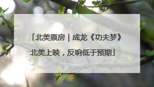 北美票房｜成龙《功夫梦》北美上映，反响低于预期