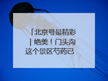 北京号最精彩｜绝美！门头沟这个景区芍药已花开成海