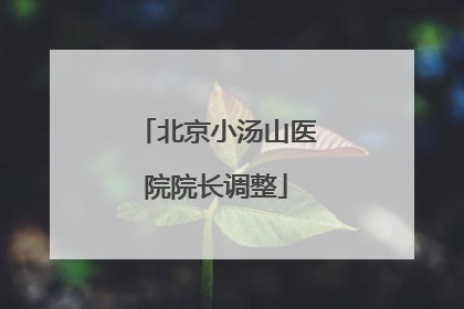 北京小汤山医院院长调整
