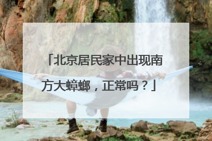 北京居民家中出现南方大蟑螂，正常吗？