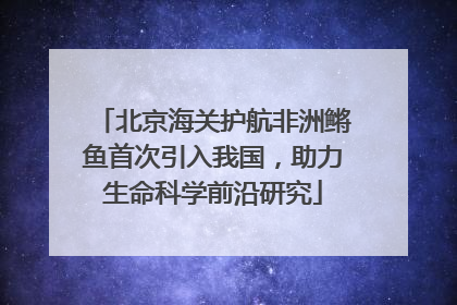 北京海关护航非洲鳉鱼首次引入我国，助力生命科学前沿研究