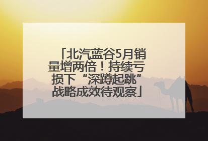 北汽蓝谷5月销量增两倍！持续亏损下“深蹲起跳”战略成效待观察