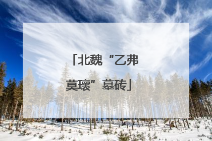北魏“乙弗莫瓌”墓砖