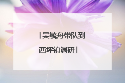 吴毓舟带队到西坪镇调研
