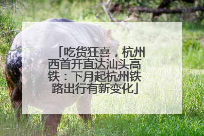 吃货狂喜，杭州西首开直达汕头高铁：下月起杭州铁路出行有新变化