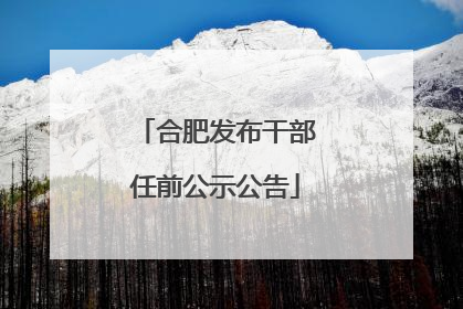 合肥发布干部任前公示公告