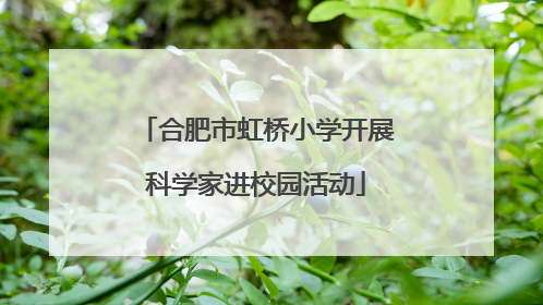 合肥市虹桥小学开展科学家进校园活动