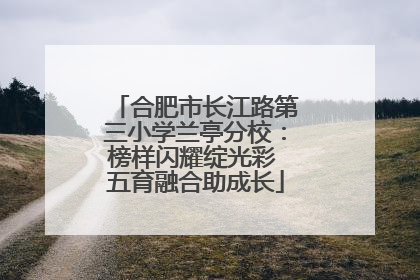 合肥市长江路第三小学兰亭分校：榜样闪耀绽光彩 五育融合助成长