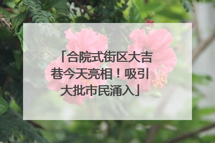 合院式街区大吉巷今天亮相！吸引大批市民涌入