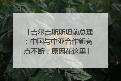 吉尔吉斯斯坦前总理：中国与中亚合作新亮点不断，原因在这里