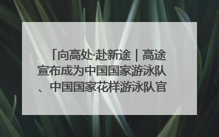 向高处·赴新途｜高途宣布成为中国国家游泳队、中国国家花样游泳队官方学习合作伙伴