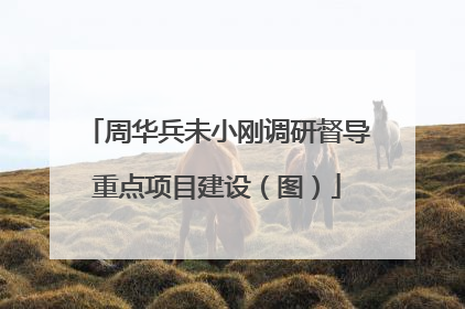 周华兵未小刚调研督导重点项目建设（图）