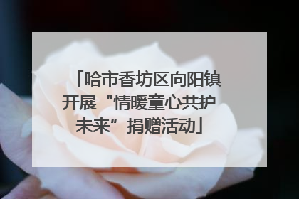 哈市香坊区向阳镇开展“情暖童心共护未来”捐赠活动