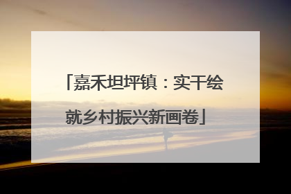 嘉禾坦坪镇：实干绘就乡村振兴新画卷