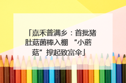 嘉禾普满乡：首批猪肚菇菌棒入棚 “小蘑菇”撑起致富伞