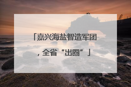 嘉兴海盐智造军团，全省“出圈”