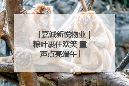 嘉诚新悦物业｜粽叶裹住欢笑 童声点亮端午