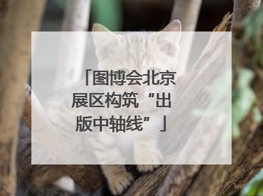 图博会北京展区构筑“出版中轴线”