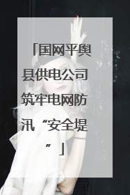 国网平舆县供电公司筑牢电网防汛“安全堤”