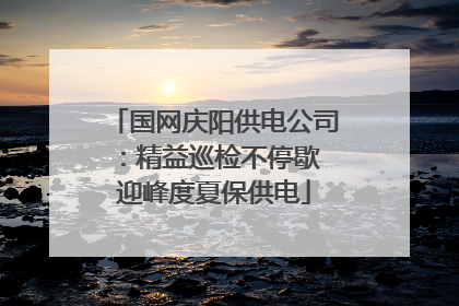 国网庆阳供电公司：精益巡检不停歇 迎峰度夏保供电