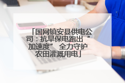 国网镇安县供电公司：抗旱保电跑出“加速度” 全力守护农田灌溉用电
