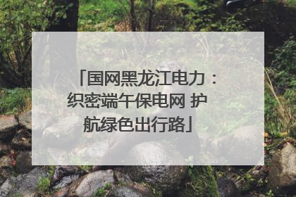 国网黑龙江电力：织密端午保电网 护航绿色出行路