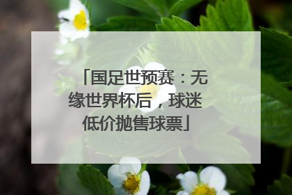 国足世预赛：无缘世界杯后，球迷低价抛售球票