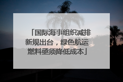 国际海事组织减排新规出台，绿色航运燃料亟须降低成本