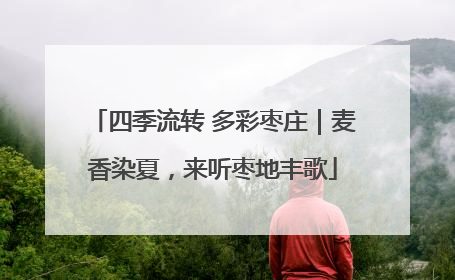 四季流转 多彩枣庄｜麦香染夏，来听枣地丰歌