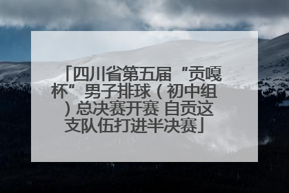 四川省第五届“贡嘎杯”男子排球（初中组）总决赛开赛 自贡这支队伍打进半决赛