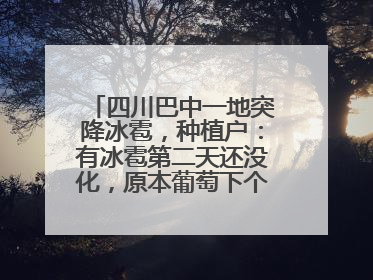 四川巴中一地突降冰雹，种植户：有冰雹第二天还没化，原本葡萄下个月上市，现在全被打落