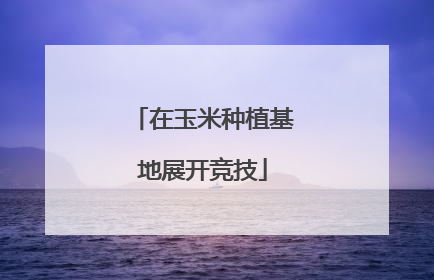 在玉米种植基地展开竞技
