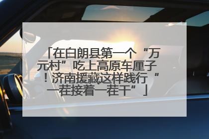 在白朗县第一个“万元村”吃上高原车厘子！济南援藏这样践行“一茬接着一茬干”