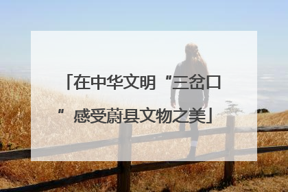 在中华文明“三岔口”感受蔚县文物之美