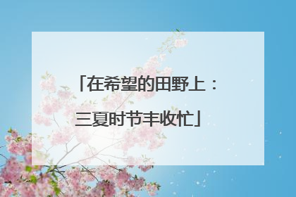 在希望的田野上：三夏时节丰收忙