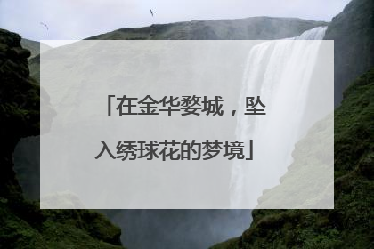 在金华婺城，坠入绣球花的梦境