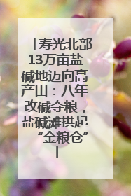 寿光北部13万亩盐碱地迈向高产田：八年改碱夺粮，盐碱滩拱起“金粮仓”