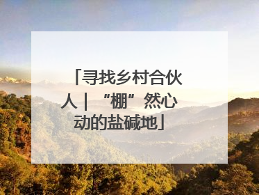 寻找乡村合伙人｜“棚”然心动的盐碱地
