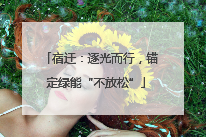 宿迁：逐光而行，锚定绿能“不放松”