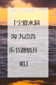 宁夏水洞沟 九点音乐节激情开唱