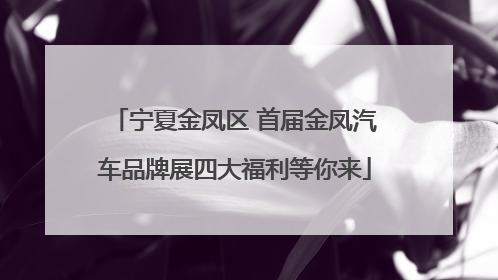 宁夏金凤区 首届金凤汽车品牌展四大福利等你来