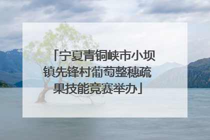 宁夏青铜峡市小坝镇先锋村葡萄整穗疏果技能竞赛举办