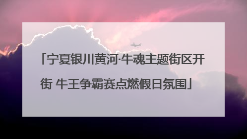 宁夏银川黄河·牛魂主题街区开街 牛王争霸赛点燃假日氛围