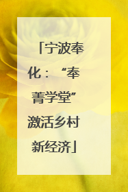 宁波奉化：“奉菁学堂”激活乡村新经济