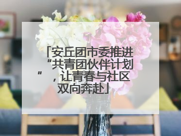 安丘团市委推进“共青团伙伴计划”，让青春与社区双向奔赴