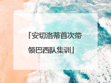 安切洛蒂首次带领巴西队集训