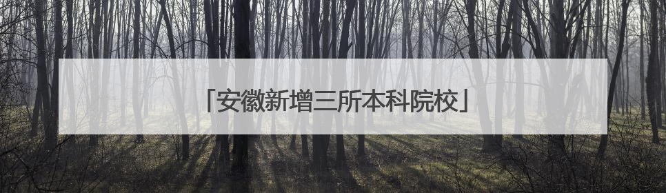 安徽新增三所本科院校