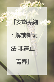 安徽芜湖：解锁新玩法 非遗正青春