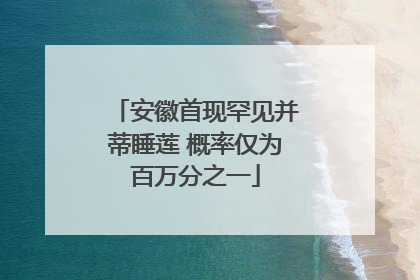安徽首现罕见并蒂睡莲 概率仅为百万分之一